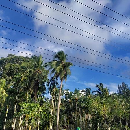 Hilton Garden Homestay Port Blair Esterno foto