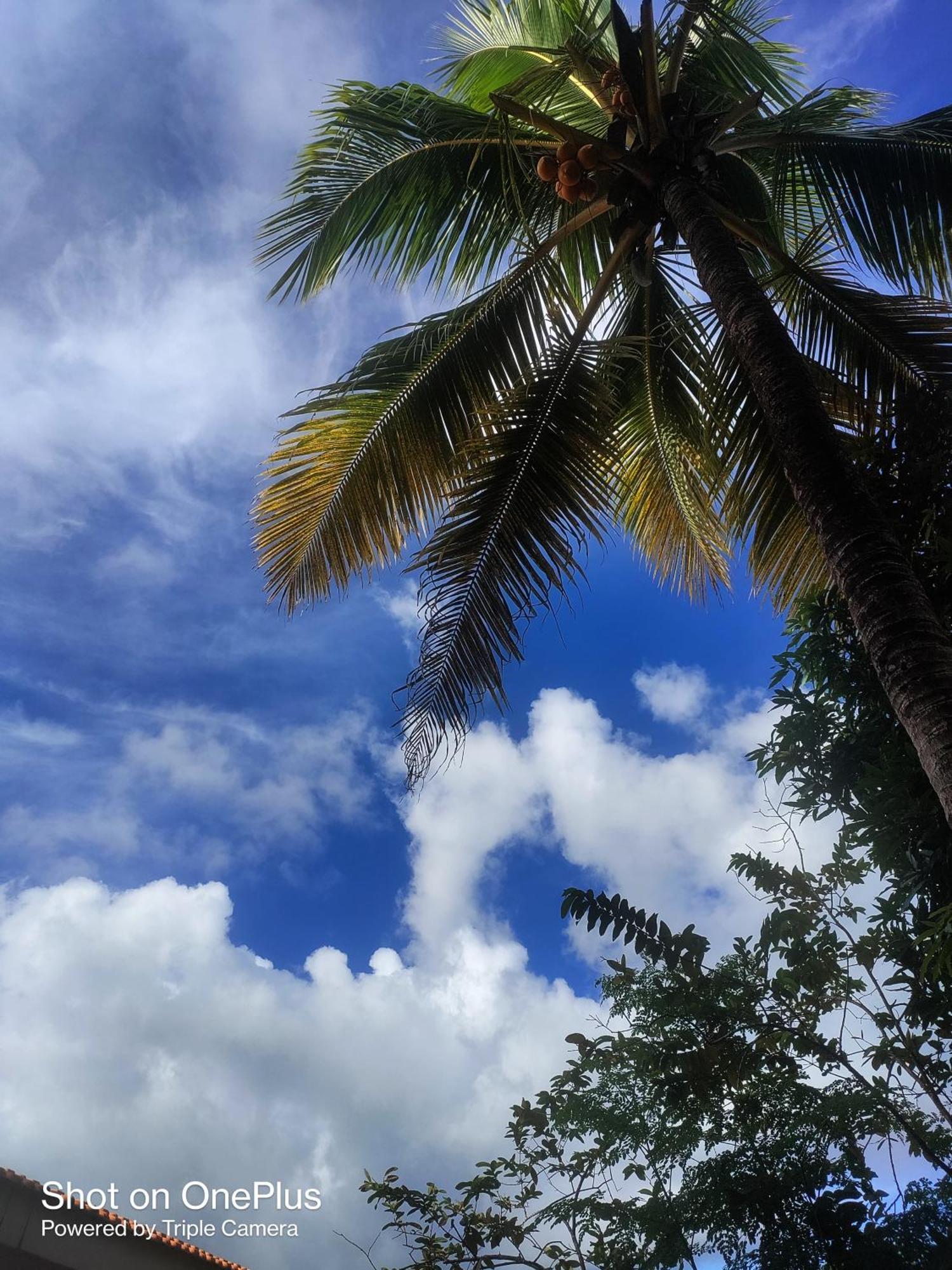 Hilton Garden Homestay Port Blair Esterno foto