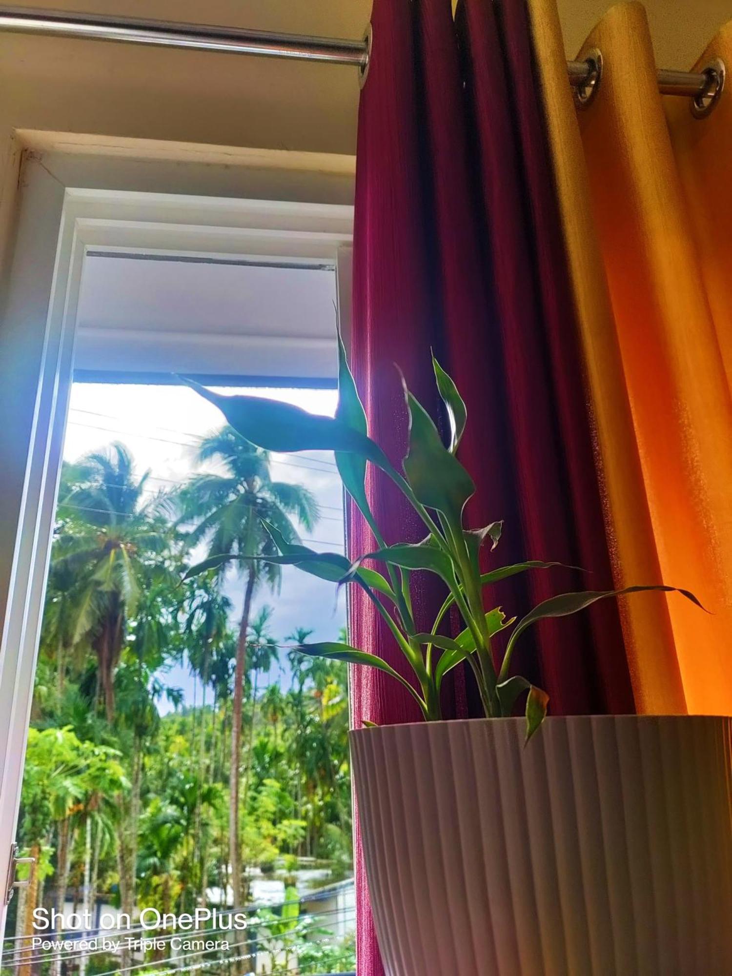 Hilton Garden Homestay Port Blair Esterno foto